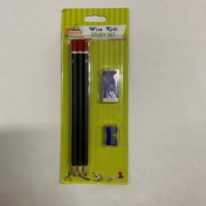 WISE KIDS STUDY SET