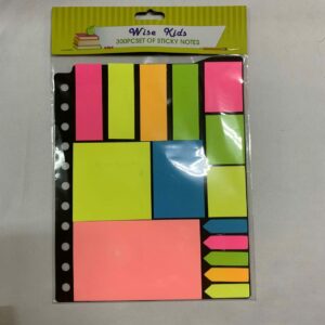 WISE KIDS 300PC STICKY NOTE SET