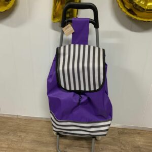 BLUE THIN STRIPE TROLLEY BAG